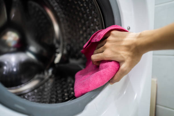 Best Mold Odor Removal Services  in Port Dickinson, NY