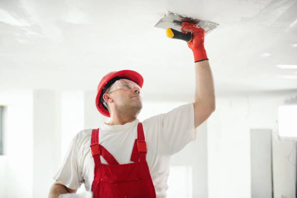 Best Industrial Mold Remediation  in Port Dickinson, NY