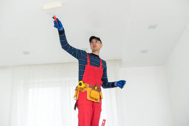 Best Asbestos and Lead Testing During Mold Inspection  in Port Dickinson, NY